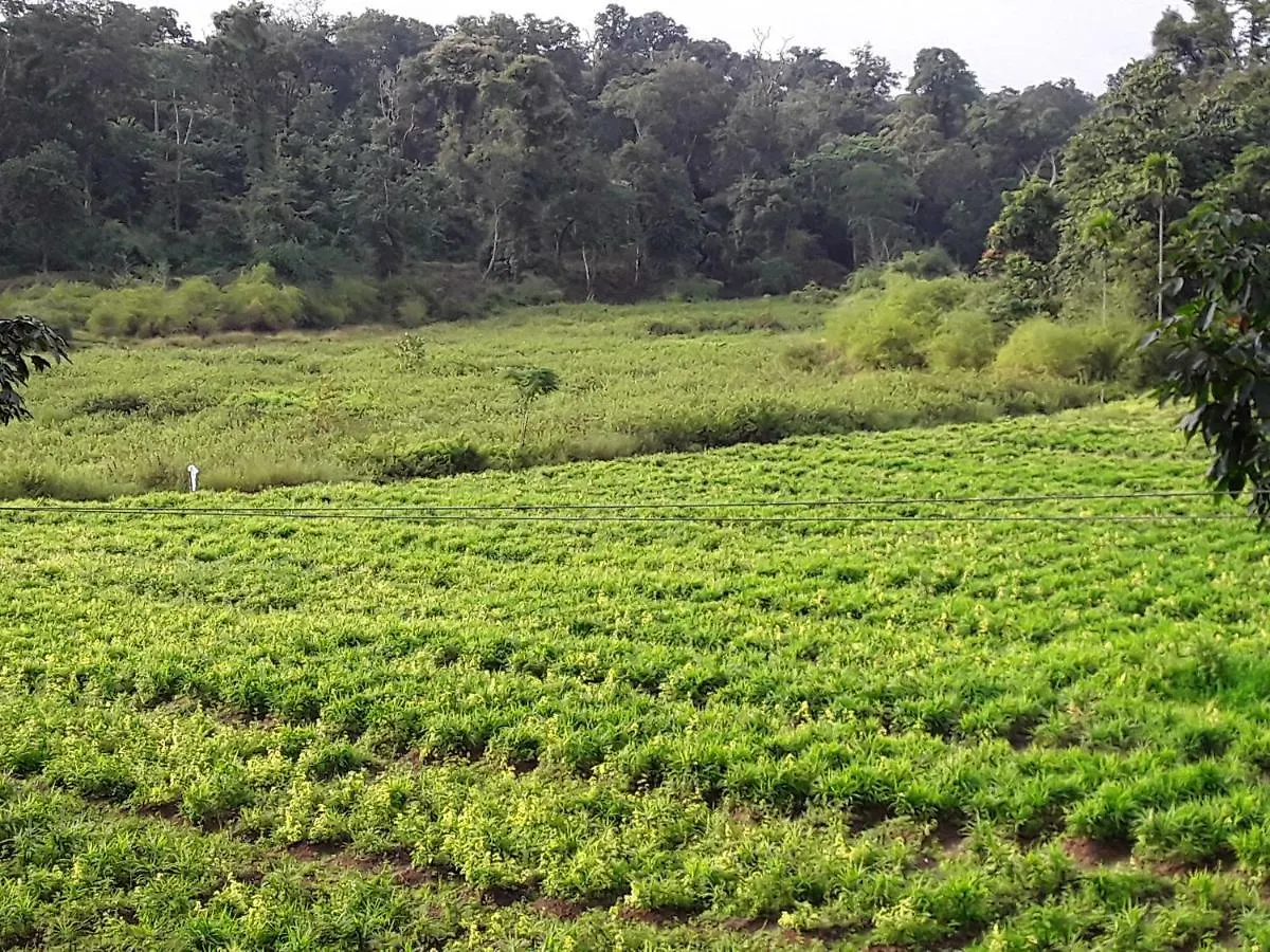Wayanad Elephant Valley Pulpally Villa