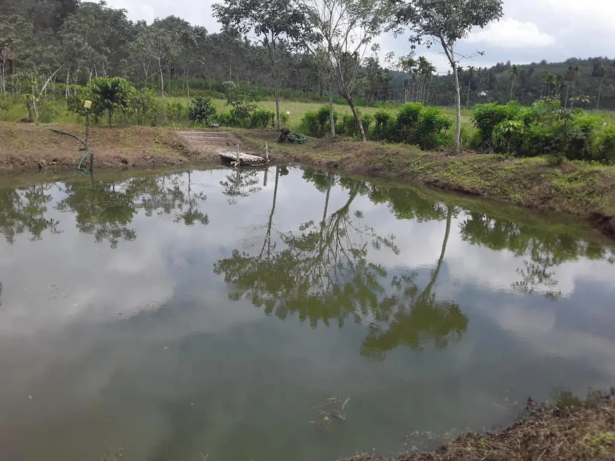别墅 Wayanad Elephant Valley Pulpally